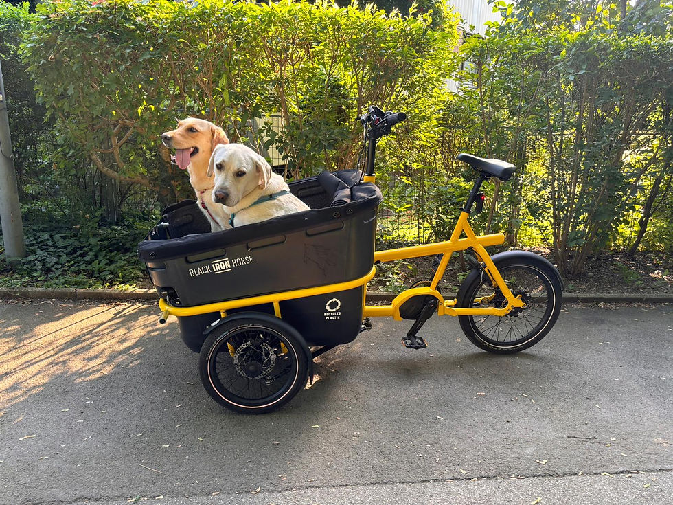 Cargobike IBEX