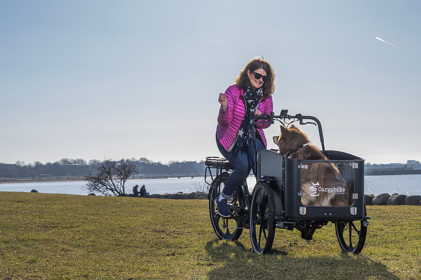 Cargobike Flex Dog 3.jpg