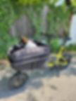 Yoonit Dog Lastenrad
