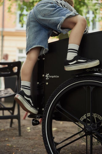 Lastenrad Cargobike e-bike Flex im Einsatz