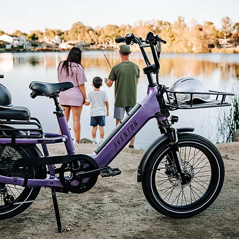 Aventon Abound SR - family lake.jpg