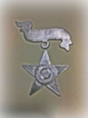 Small ID Star/ 12-20th 17th Corps Badge