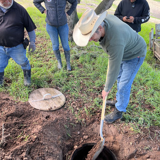 Biodynamic 500 prep at Groundstar Vineyard Sta Rita Hills