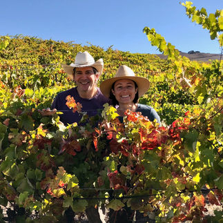 Groundstar Vineyard, the first Regenerative Organic Certified® (ROC) estate in the Sta. Rita Hills AVA.