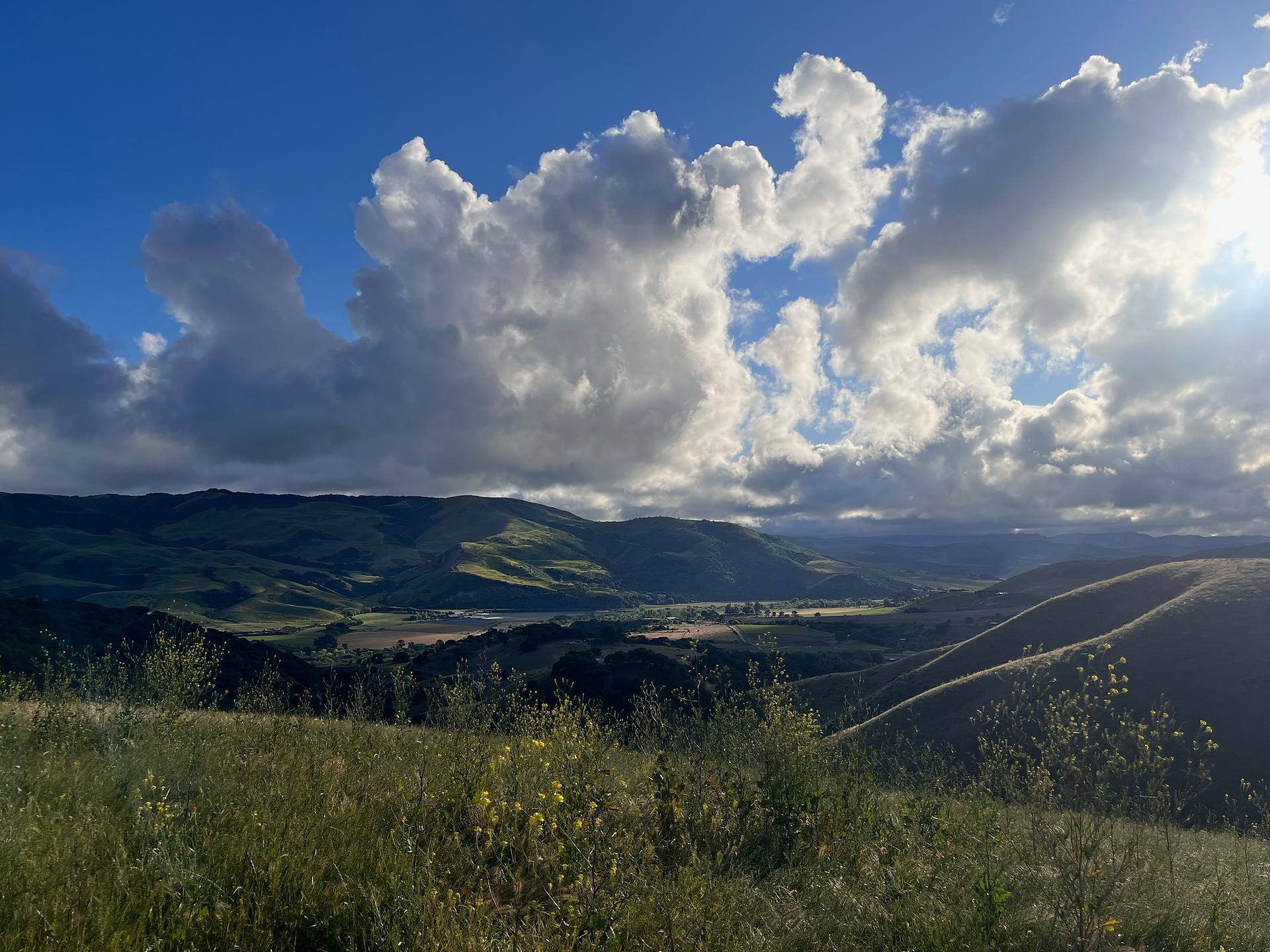 Open rangeland and regenerative farming landscape at Williams Ranch in Sta. Rita Hills.