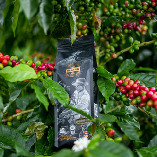 En Café Sarasa, creemos firmemente que un buen café no necesita azúcar, y que un mal café no se merece el añadido dulce. Esta filosofía encapsula nuestra dedicación a ofrecer un café de calidad excepcional, donde cada taza es una obra maestra de sabor y aroma, cuidadosamente elaborada desde la semilla hasta la taza.