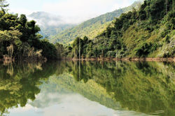 Pédale au repos sur l'eau