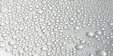 20101130135917_52547_50.jpg