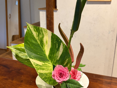 オクラを使った自由花