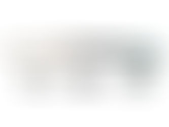 意大利 KOBLENZ 路軌