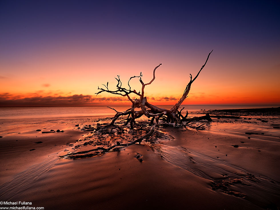 First Light