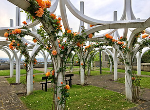IMG_E8587.jpg