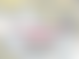 La pince à pavés ultime pour les paysagistes : pourquoi la SILVERBACK Rise-250 révolutionne la manière dont vous soulevez et posez vos dalles