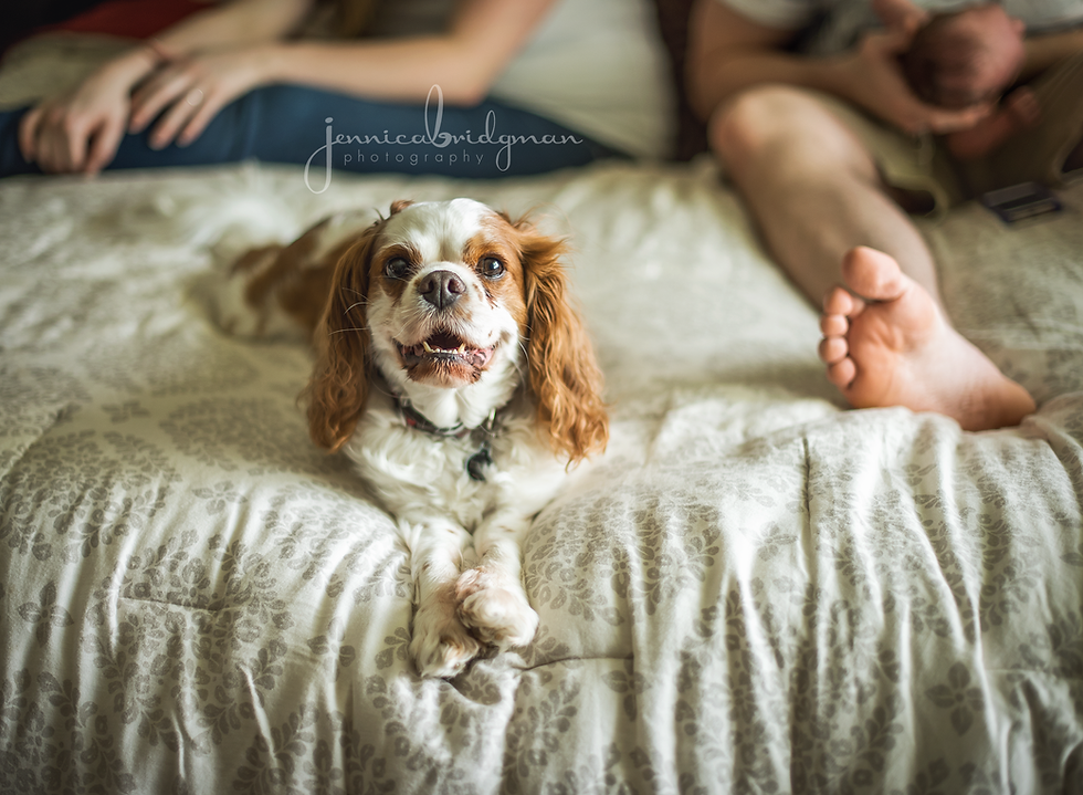 Karis | 6 Days New | Lifestyle Newborn Session | Conway, AR Newborn Photographer