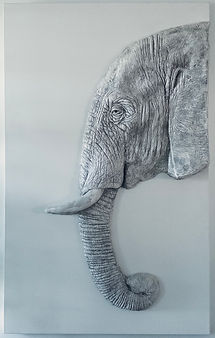Elephant Relief