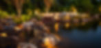 rost-landscaping-hero_home.jpg