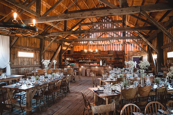 Chelsea-Conner-Iron-Horse-Ranch-Bethany-ON-Wedding (17) 7H4A1682.jpg