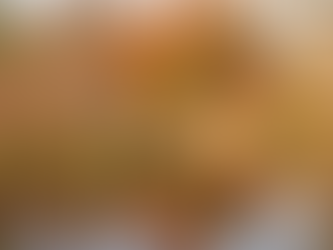 Knowle Park Trust December 2024 Newsletter