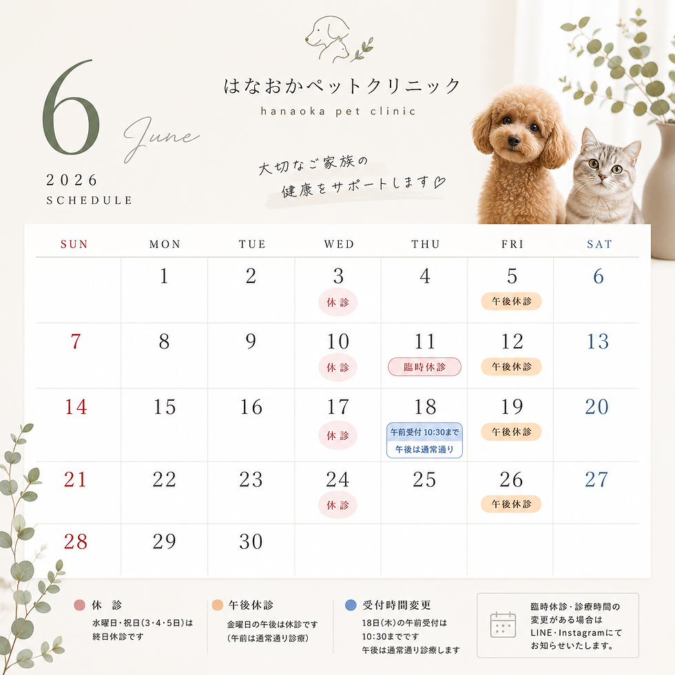 6月の診察カレンダー
