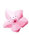 branche-cerisier-sakura-vecteur-japon-fleurs-epanouies-constructeur-conception-branche-cer