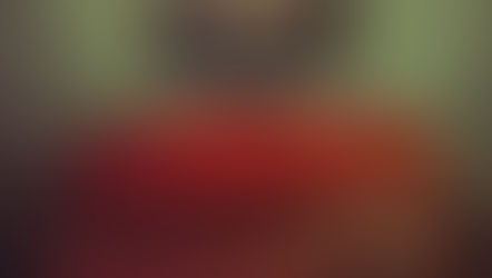 The Tale of Halcyon Crane by Wendy Webb