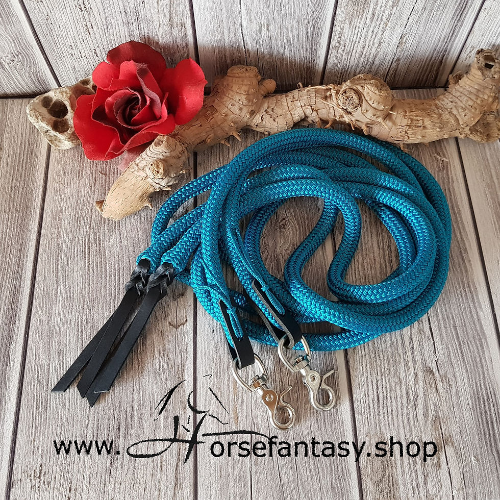 **Offene Zügel DB2 (12mm)**