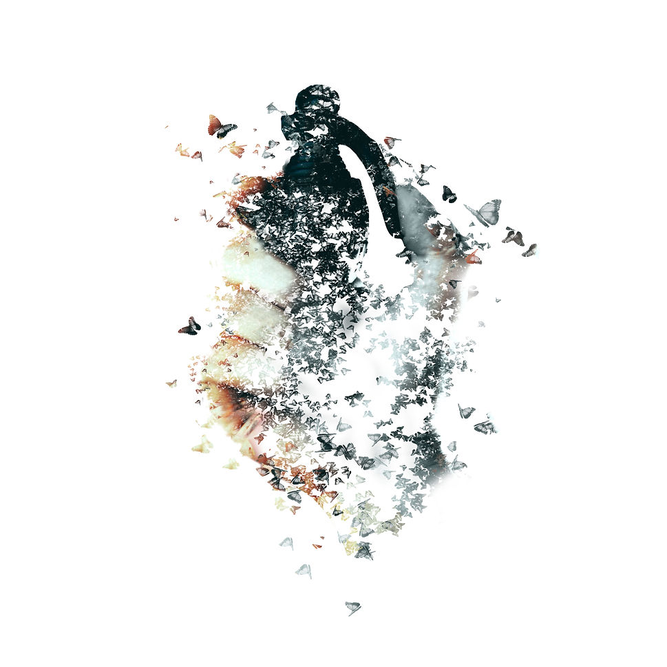 BUTTERFLY EFFECT 584X584.jpg