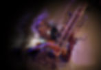 ANOUSHKASHANKAR copy.jpg