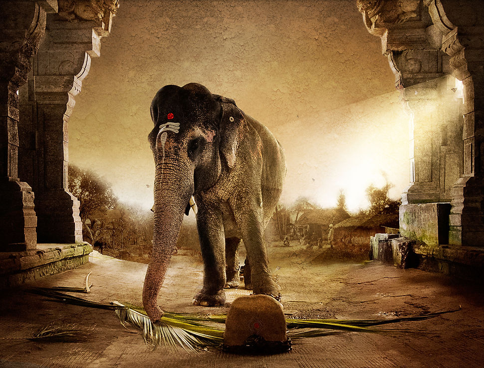 FORGOTTEN DAY 50 X 38 .jpg