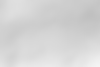 Texturelabs_Paper_348L.png