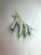 Neid