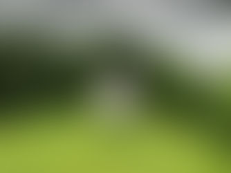 Cuando la Iglesia no te satisface