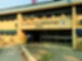 ree
