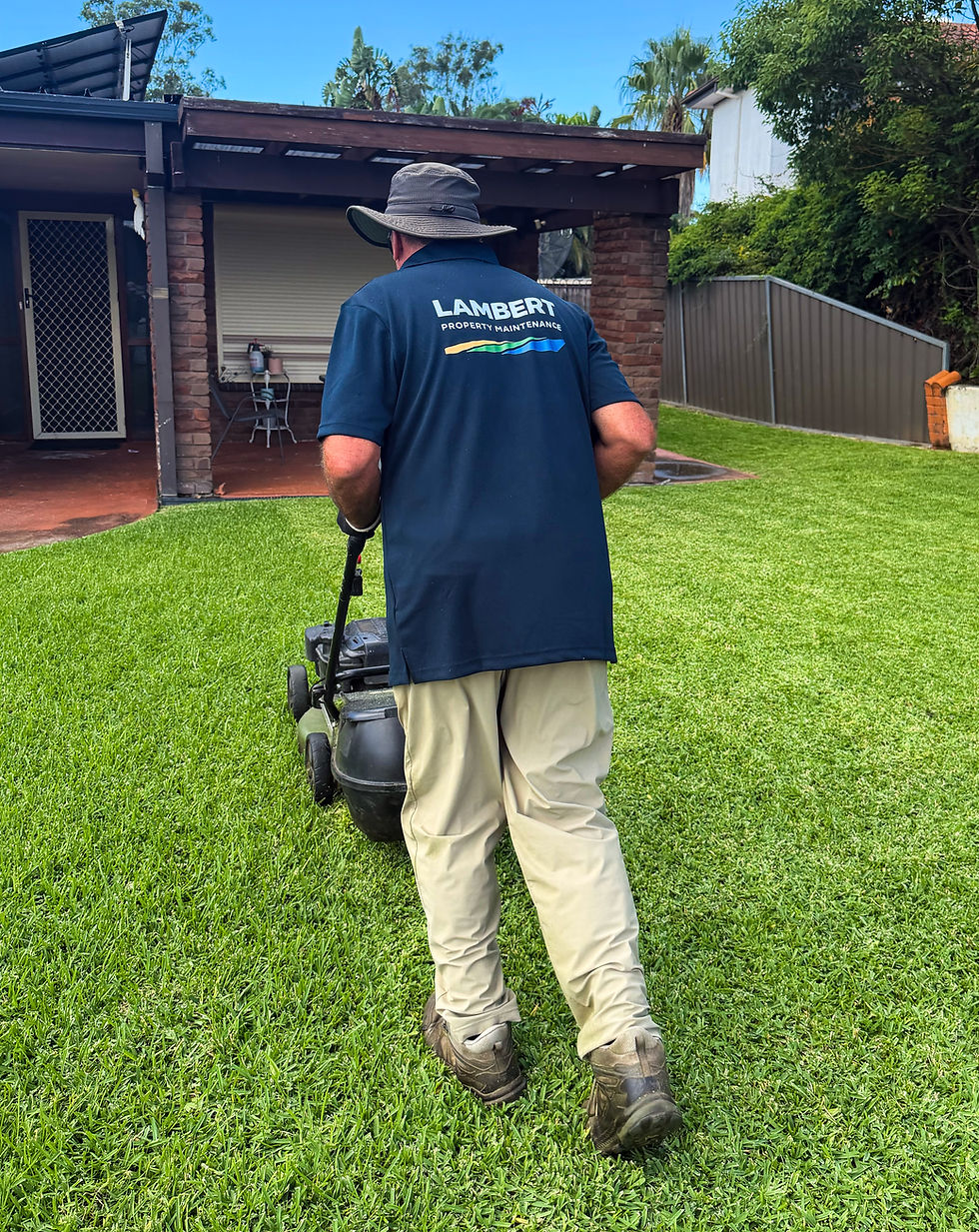 Lawn Mowing