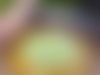 【秋のすだち】