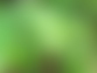 【17日(金)夜は臨時休業】