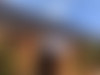 【7月4日(金)は昼のみ通常営業】
