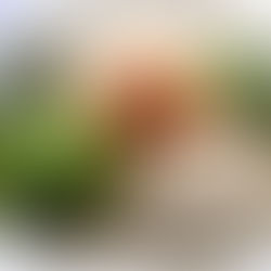 【5月7日(木)振替休業】