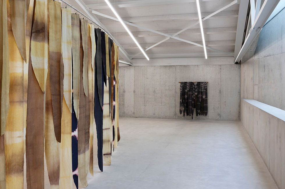 I danced myself out of the womb, 2024 Cosmic Dancer (Carmen), 2023