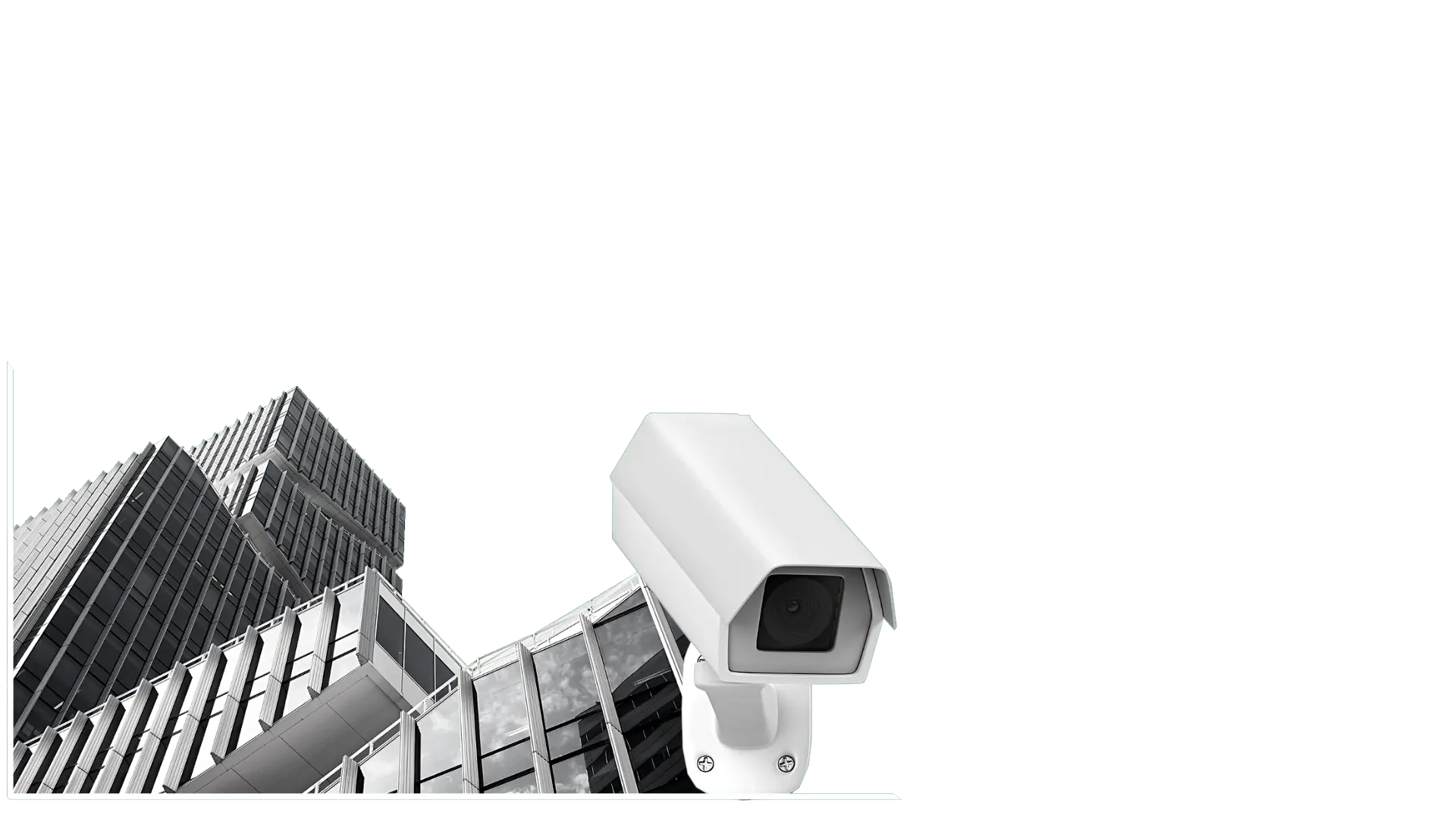 camera 11.17.38.webp