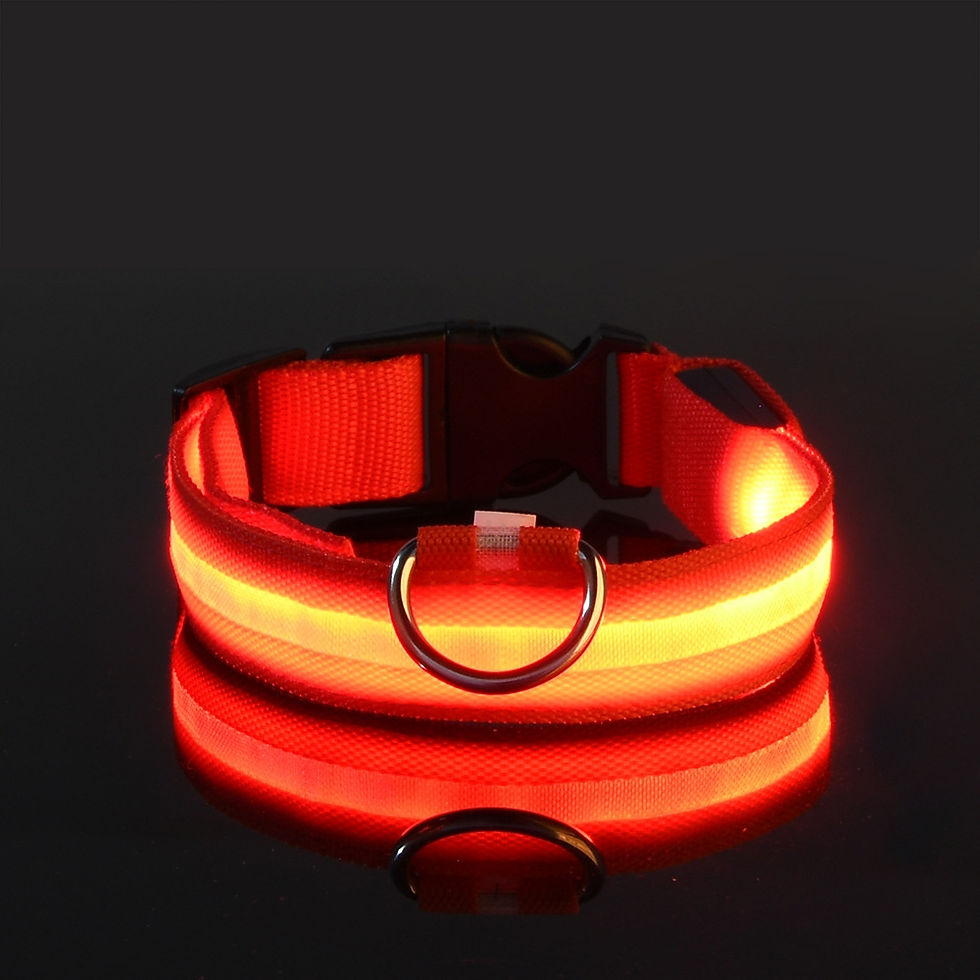 Thumbnail: Nylon LED Night Safety Flashing Glow In The Dark Dog Leash Dogs Luminous Fluores