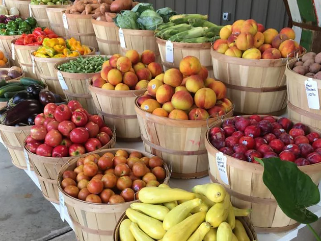 Farm Fresh Produce | Nursery, Outdoor Furniture, & Gardening Supplies