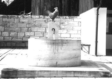 Dorfbrunnen1