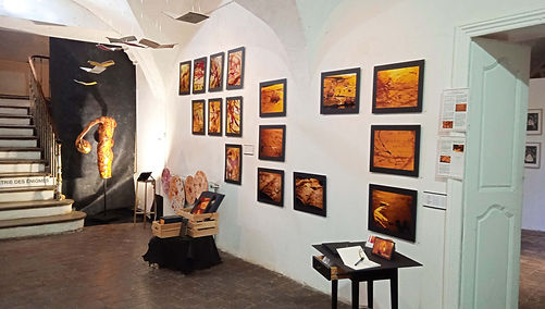 Exposition Menstrual art Sauve