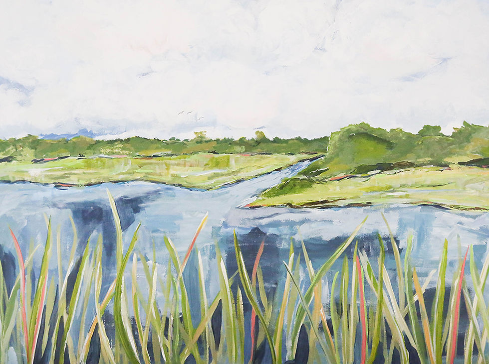 Marsh-View-Preview.jpg