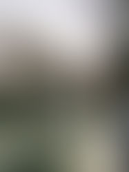 French producer Moonee drops first single ‘Ouzo’ from debut album ‘Sandquest’