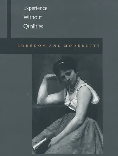 Experience without qualities book cover.webp