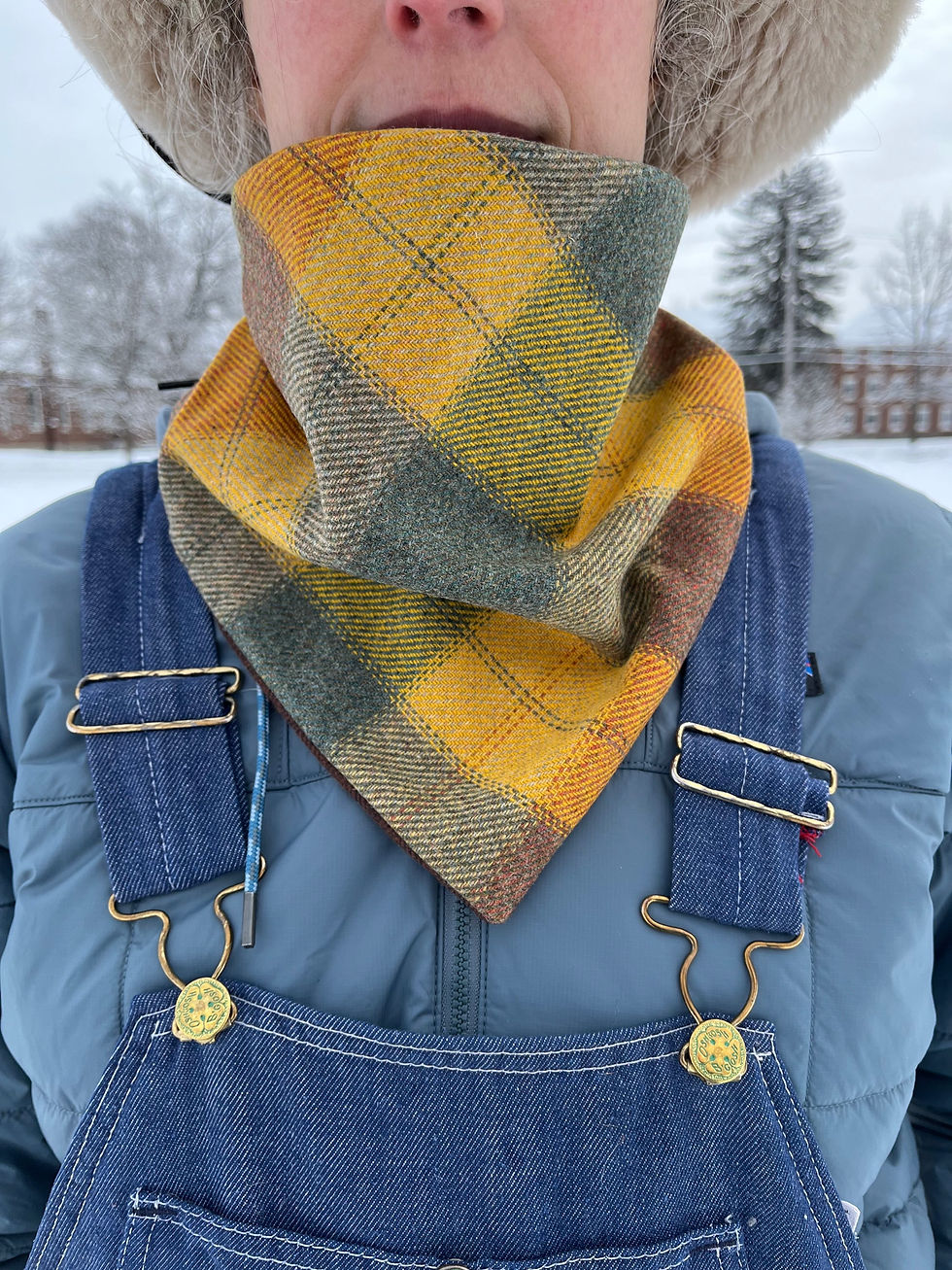 Thumbnail: The Wool Hubbard