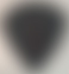 テラーニさんピックをガチ・レビューしてみたよ!!