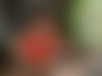 Woman using fasting app at kitchen table